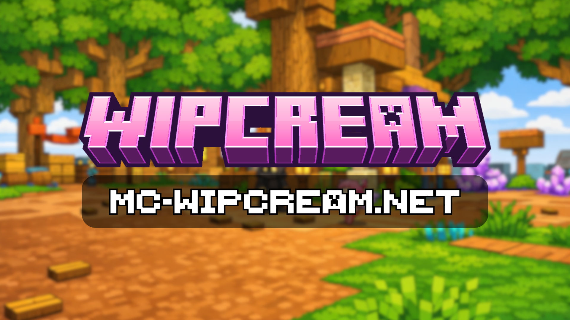 Banner Image